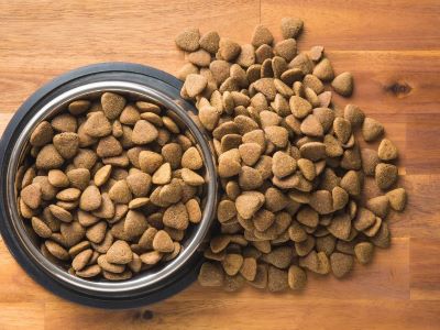 Puppy Food and Adult Dog Food