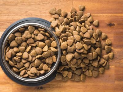 Puppy Food and Adult Dog Food Puppy Food and Adult Dog Food