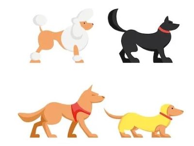 The Diversity of a Dog’s Tail