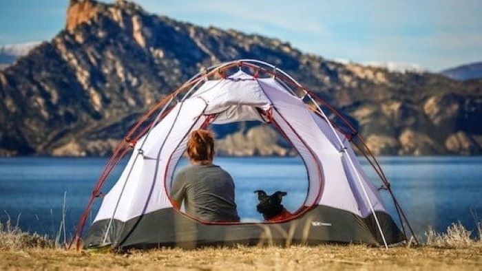 How do stop dogs from barking when camping