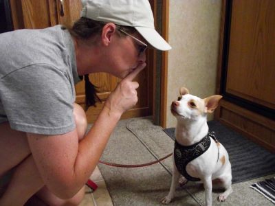 man talking with a dog