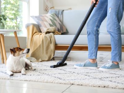 How to Get Dog Hair Out of the Carpet