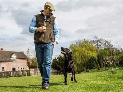 dog walking with owner in the field