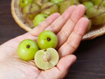 Can Dogs Eat Amla?