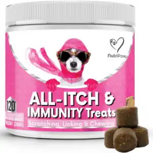  NutriPaw All-Itch Immunity Treats