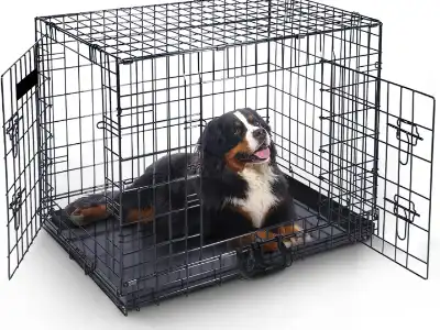 dog-age-crate-metal-crate