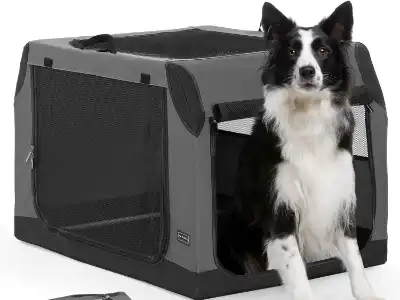 dog-crate-for-car-petsfit