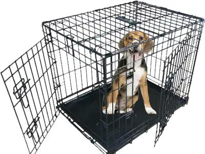 ellie-bo-dog-crate