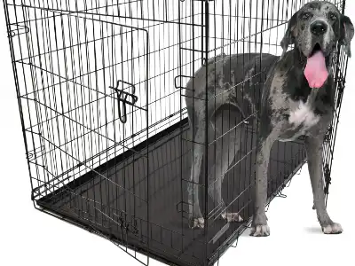 metal-dog-crate-dog-crate-plus