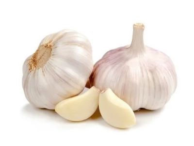Garlic Toxicity in Dogs
