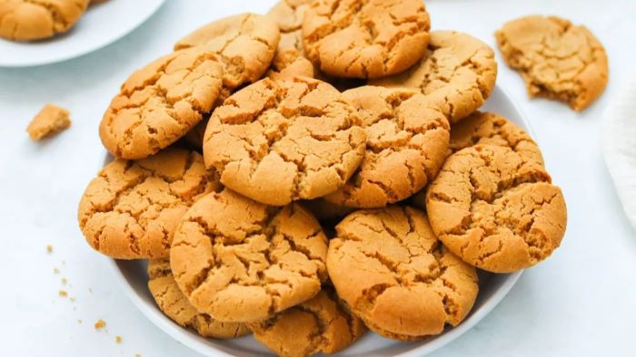 can dogs eat ginger nut biscuits?