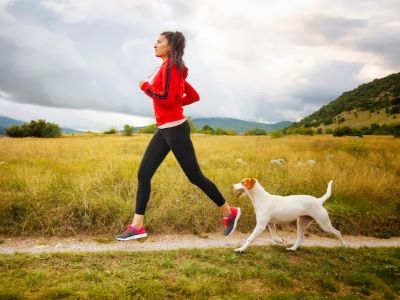 Benefits of Walking Your Dog After Eating
