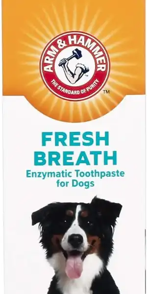 arem-and-hammer-dog-toothpaste