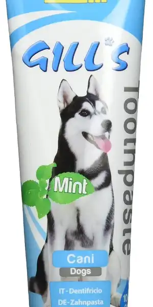 mint-dog-toothpase-croci-gill