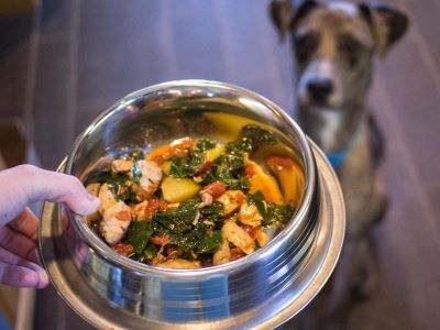 How to Serve Courgettes to Dogs