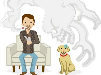 Causes of Asthma in Dogs