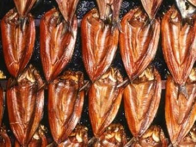 Types of Kippers for Dogs