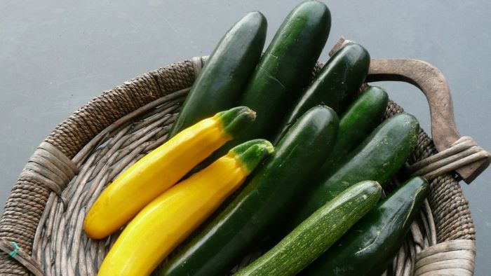Can Dogs Eat Courgette?