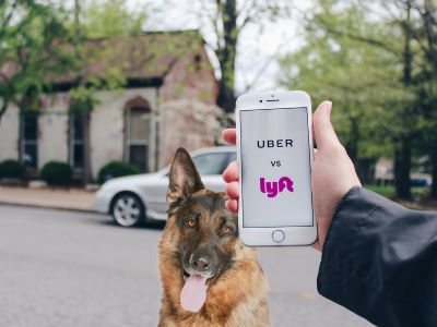 Alternatives for Rideshares if No Pets Allowed