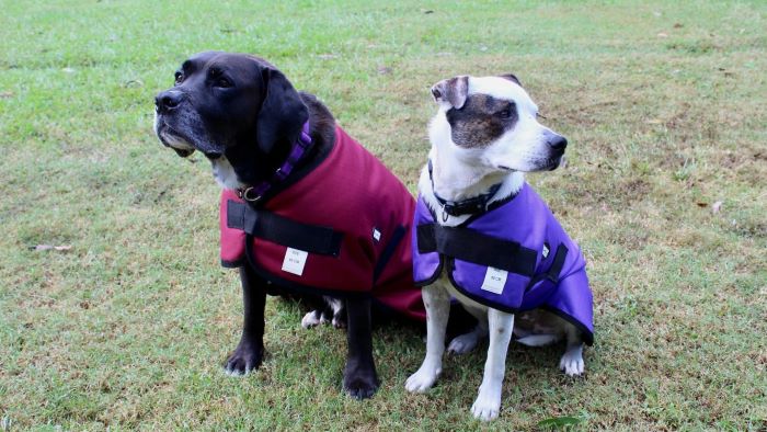 Best Waterproof Dog Coat With Legs UK