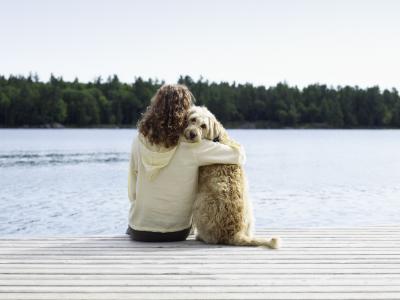 a dog sitting on the beach 