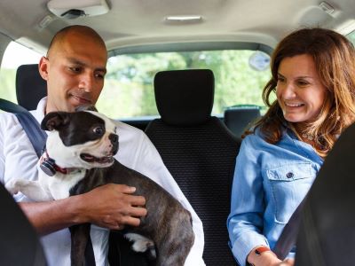 Tips for Travelling with Dogs in Uber