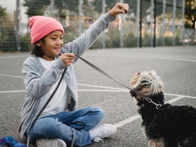 Training Your Dog to Look Up