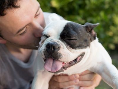 Understanding Dogs' Emotional Attachment and What Their Loss Means