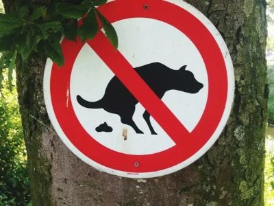 Why Dog Poop Matters for Rodent Control