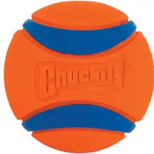 ChuckIt! Ultra Ball Dog Toy