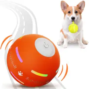 PetDroid Interactive Dog Ball