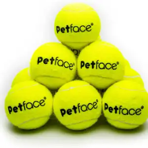 Petface Super Tennis Balls 