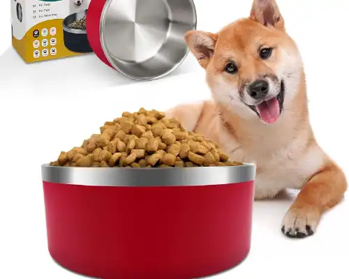 IKITCHEN Dog Bowl