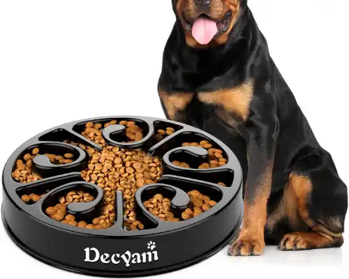 Decyam Slow Feeder Dog Bowl 