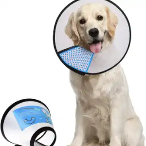 supet-dog-cone-uk