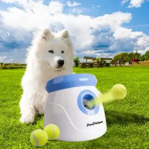 pet-prime-automatic-dog-ball-launcher