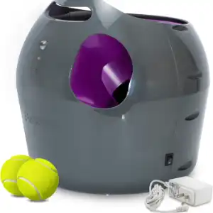 petsafe-automatic-dog-ball-launcher