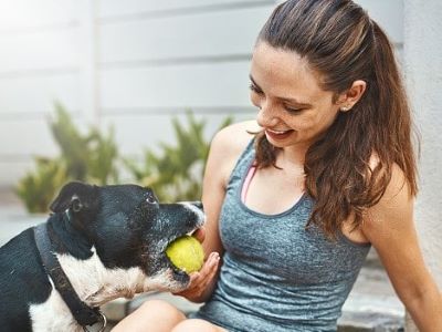 Why Do Dogs Love Balls? 
