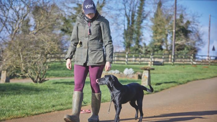 7 Best Gun Dog Slip Leads for Controlling Hunting Dogs in the UK