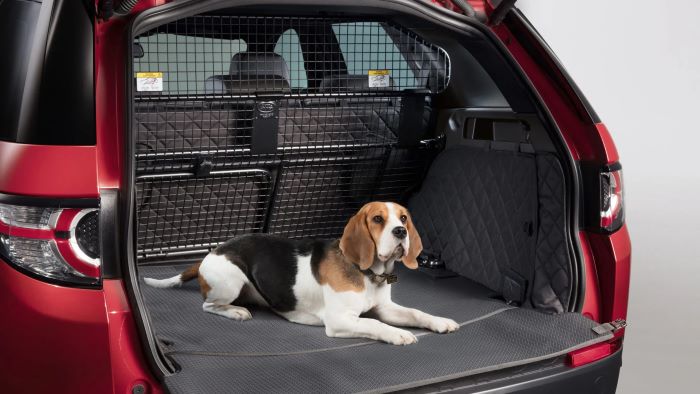 How to Keep Dogs Cool in Car