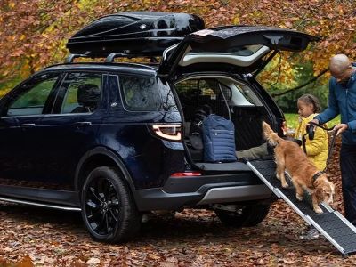 Keeping Your Dog Cool Inside the Car